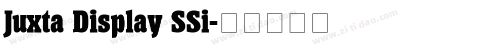 Juxta Display SSi字体转换